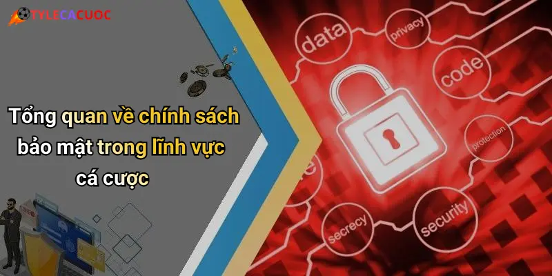 Tổng quan về chính sách bảo mật trong lĩnh vực cá cược