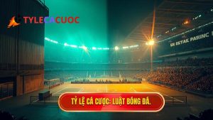 Luật bóng đá 5 người khác gì 11 người? Phân tích chi tiết từ chuyên gia